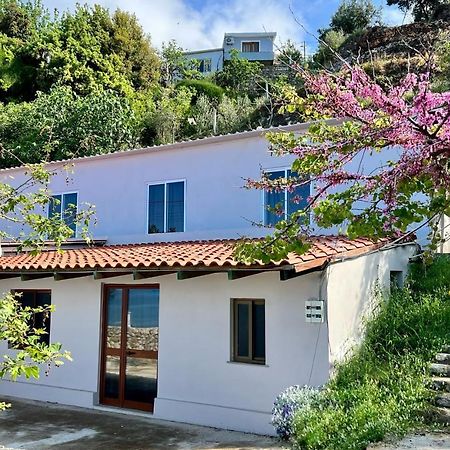 بورش Residence Villa Denny&Villa Kate المظهر الخارجي الصورة